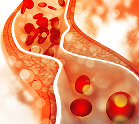 再生医療(自費診療)